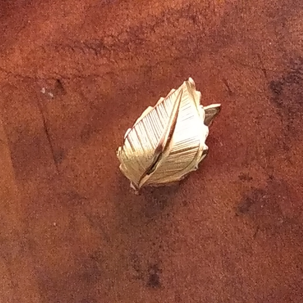 Clip Earring Bundle - Picture 7 of 7